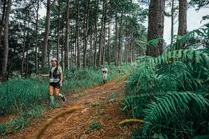 BIB: 
                            <button type="button" onclick="openModal(25689546)" class="btn btn-primary btn-sm float-right btn-popup" data-toggle="modal" data-target=".modal-high-quality">
                        <i class="fas fa-shopping-cart"></i> Add to Cart
                    </button>
                                            <button type="button" onclick="isThisMe(25689546, true)" class="btn btn-success btn-sm float-right btn-popup btn-isme hidden" data-toggle="tooltip" data-placement="bottom" title="นี่คือรูปของคุณใช่ไหม คลิกที่นี่เพื่อเอาเข้าอัลบั้ม">
                        <i class="fas fa-plus"></i> Add to album
                    </button>
                    <button type="button" onclick="isThisMe(25689546, false)" class="btn btn-warning btn-sm float-right btn-popup btn-isnotme hidden">
                        <i class="fas fa-ban"></i> Remove from album
                    </button>